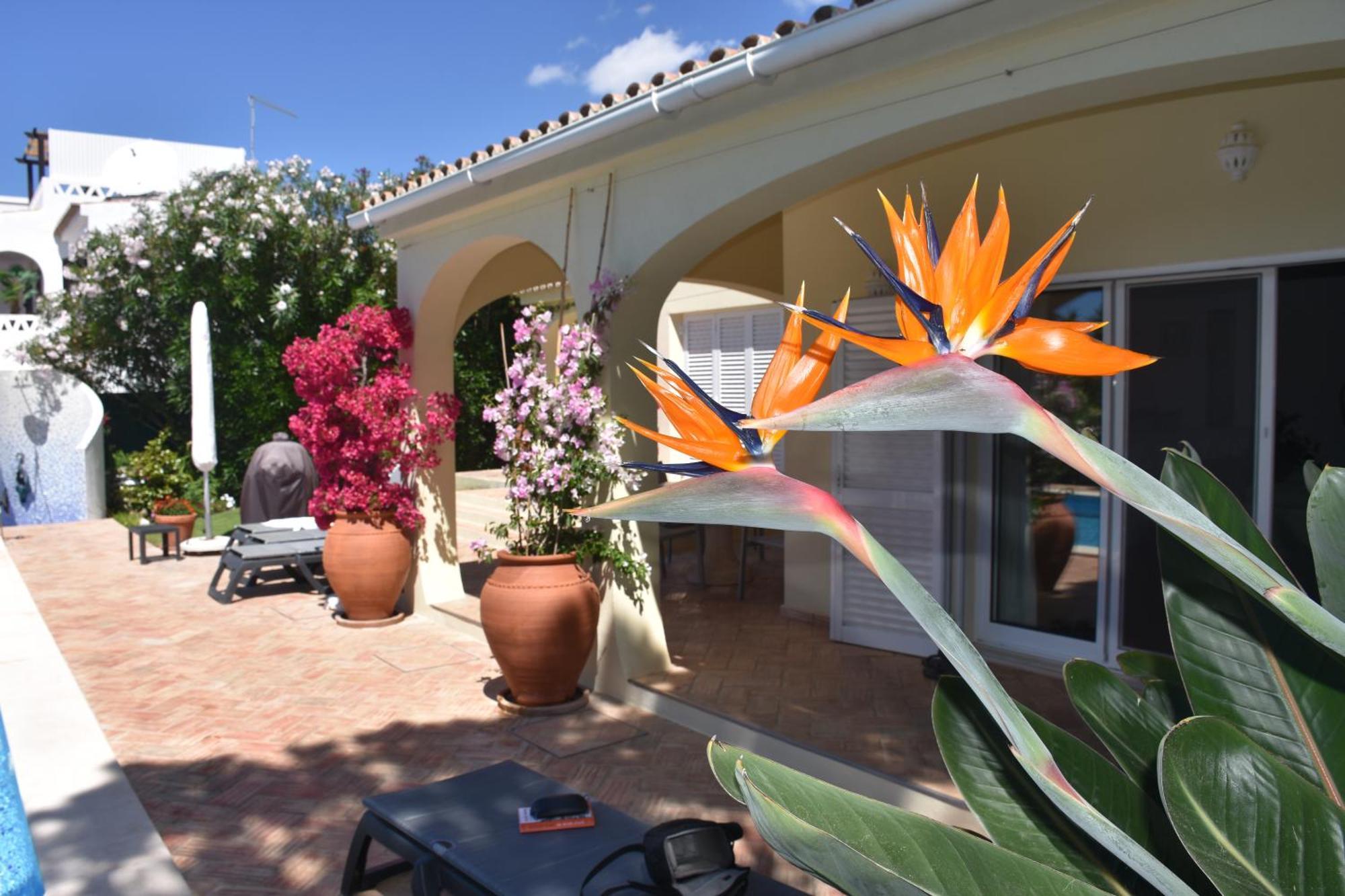 Villa Casa De Amanha 450 Mts To The With Beautiful Garden And Heated Saltwater Pool