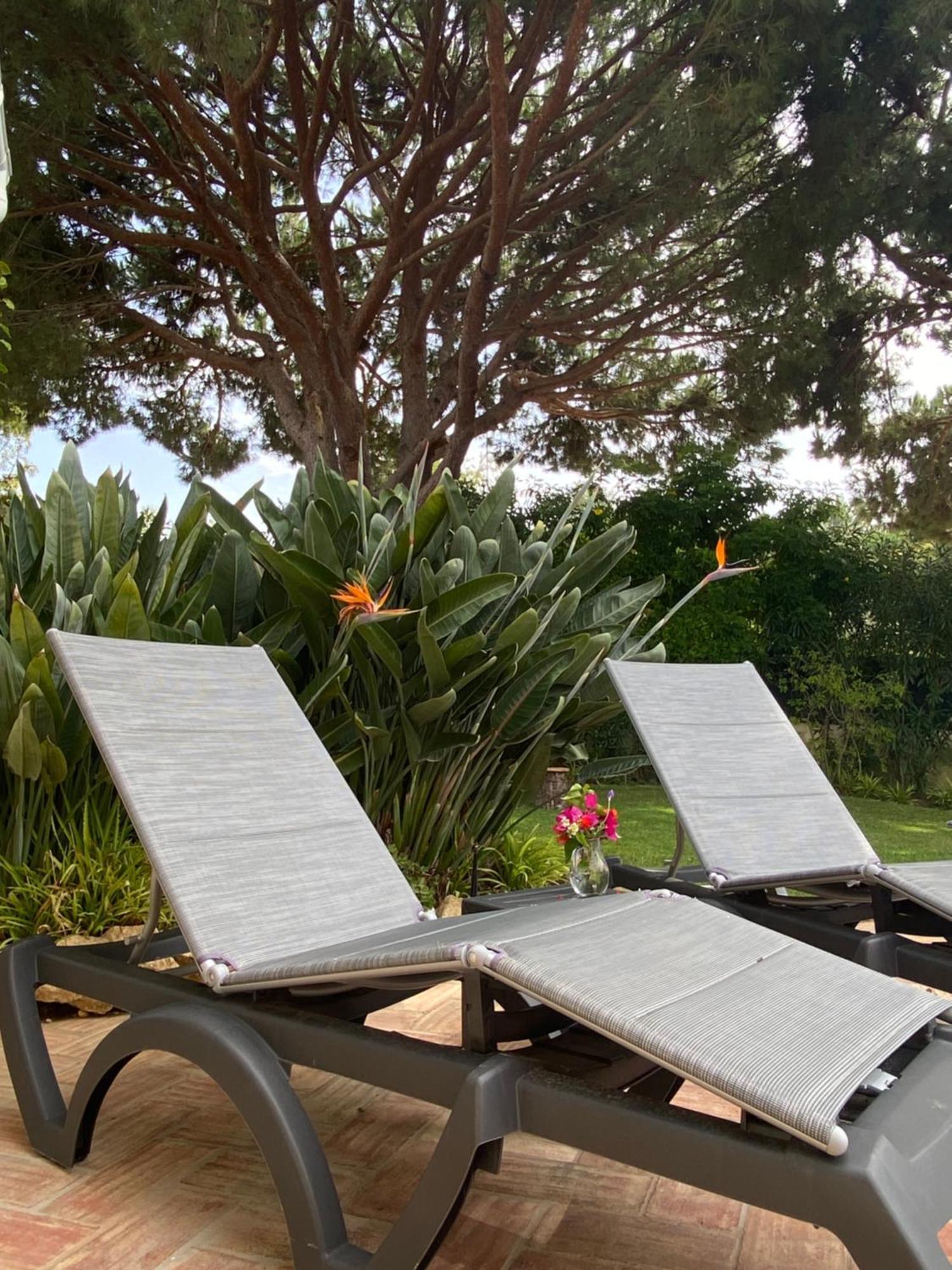 Casa De Amanha 450 Mts To The With Beautiful Garden And Heated Saltwater Pool Villa *